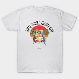 What would jimmy do T-Shirt